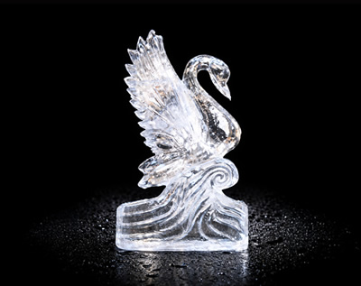 Ice Sculptures